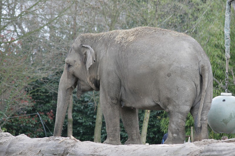 Fotoclubje Blijdorp 2008-27.jpg